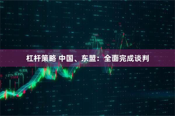杠杆策略 中国、东盟：全面完成谈判