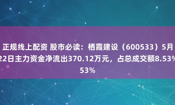 正规线上配资 股市必读：栖霞建设（600533）5月22日主力资金净流出370.12万元，占总成交额8.53%