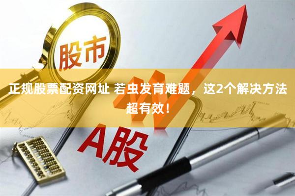 正规股票配资网址 若虫发育难题，这2个解决方法超有效！